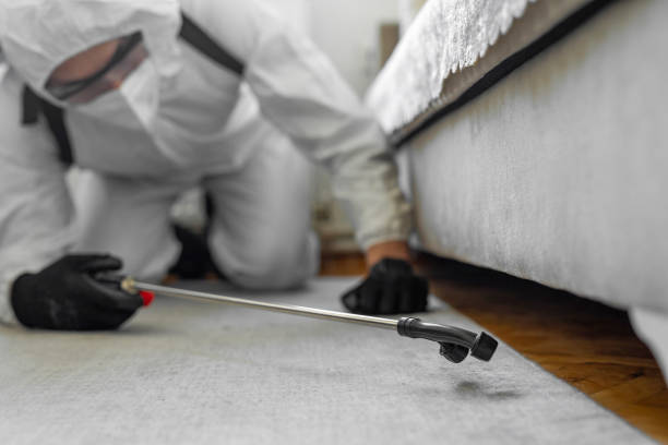 Professional Termite Control technician working in Geneva, WA