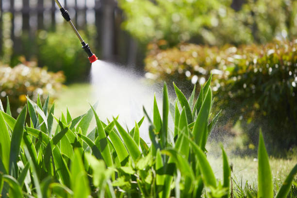 24/7 Emergency Termite Control experts in Geneva, WA